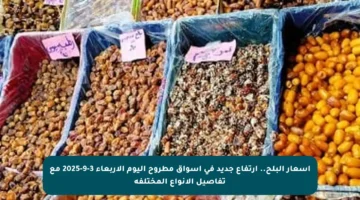أسعار البلح.. ارتفاع جديد في أسواق مطروح اليوم الأربعاء 3-9-2025 مع تفاصيل الأنواع المختلفة